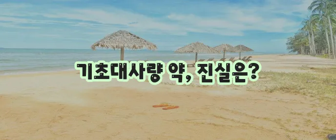 기초대사량 늘리는 약 확실히 알아봅시다!