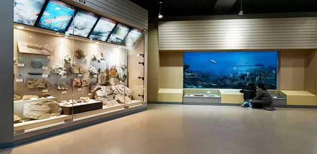 서대문자연사박물관