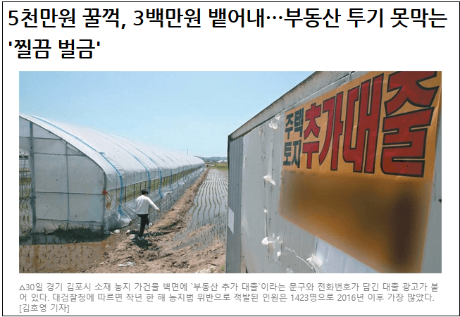  부동산 투기 솜방망이 처벌...투기꾼들 웃는다
