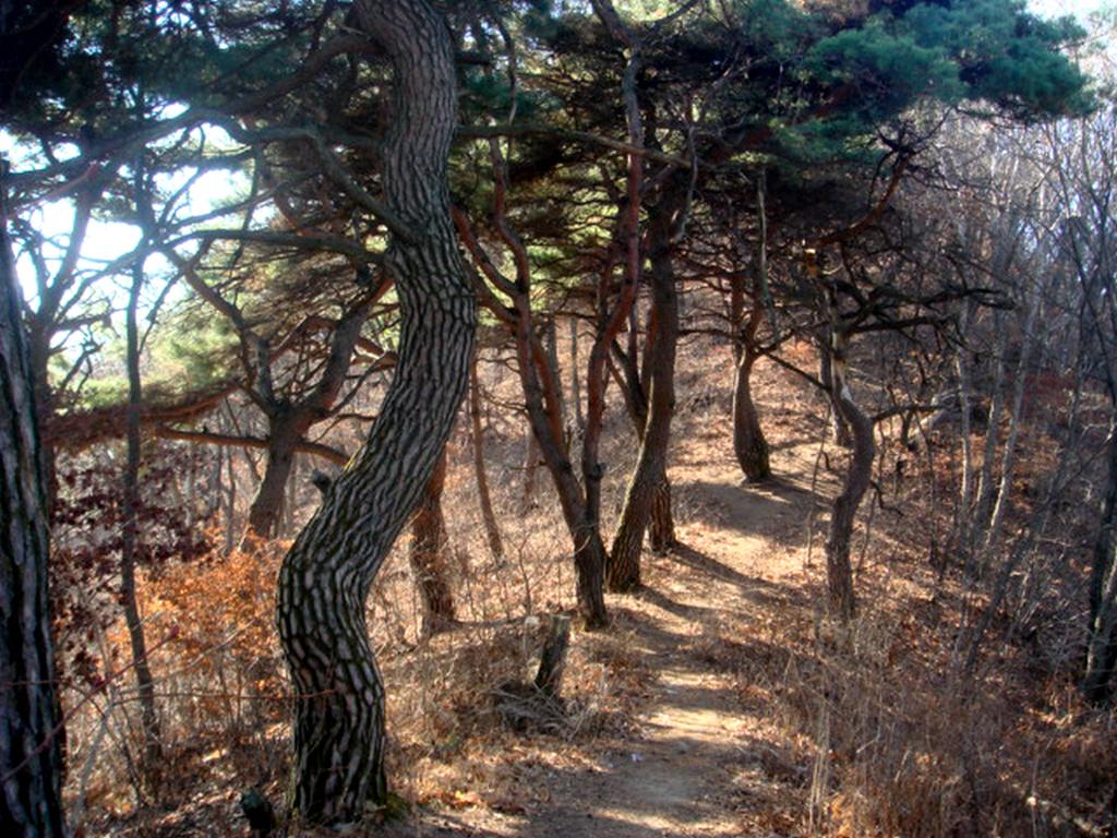충주 보련산