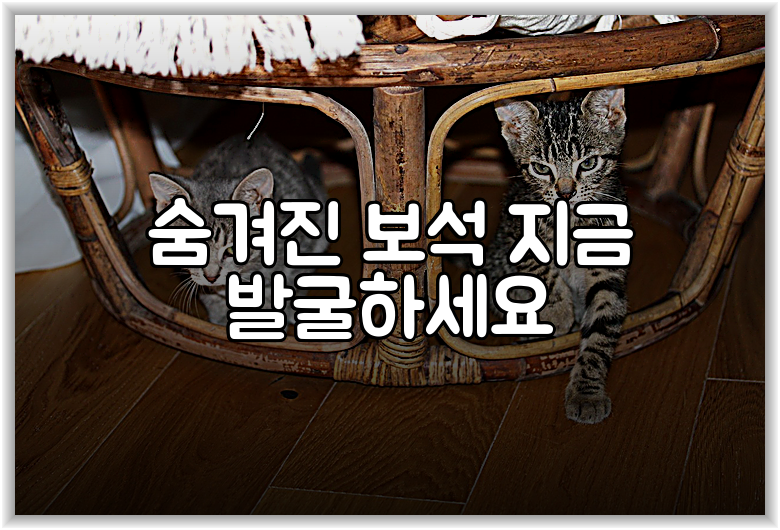 숨겨진 보석 지금 발굴하세요