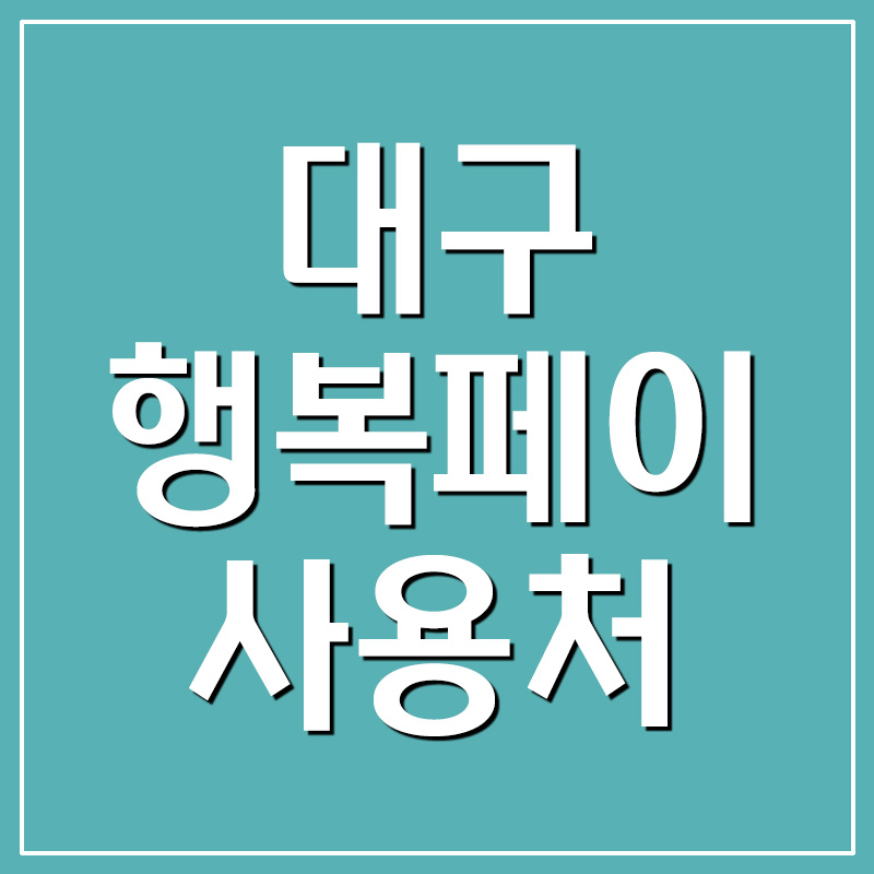  대구광역시 지역화폐 대구행복페이 사용처