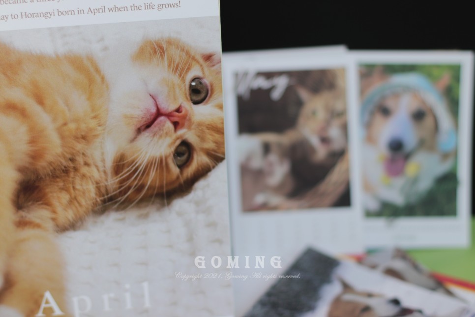 백호랑이 주문, 이웃집의 죽도록 사랑해!!!! 11