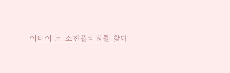 별플라워 이미지