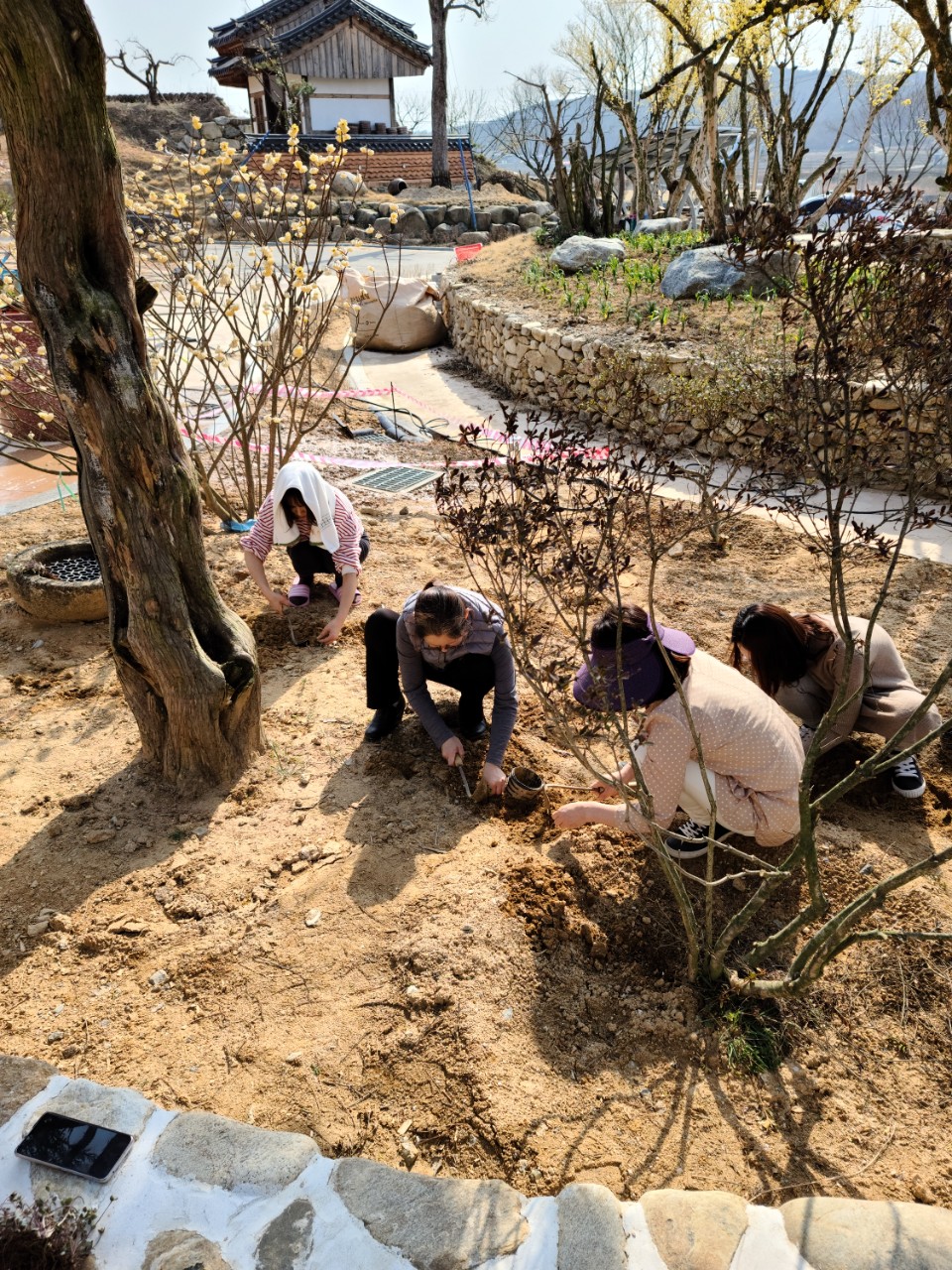  전통한옥 초연당의 건설 현장 - 야생화를 심어요