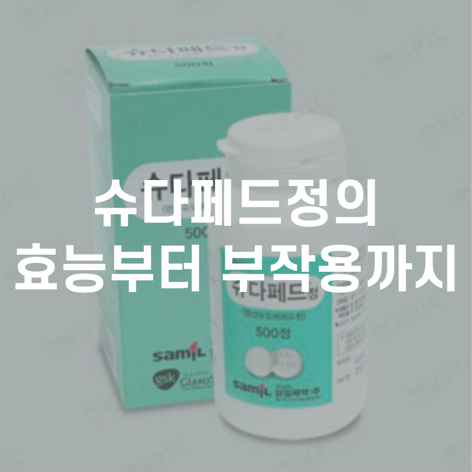  삼일제약 슈다페드정 복용법과 부작용, 효능, 체중감량까지 전부 알려드려요