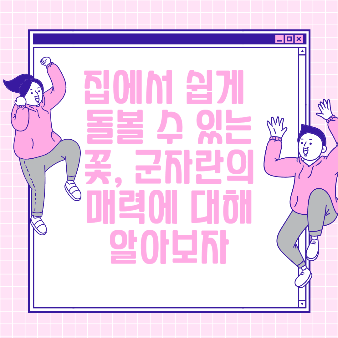 집에서 쉽게 돌볼 수 있는 꽃&#44; 군자란의 매력에 대해 알아보자