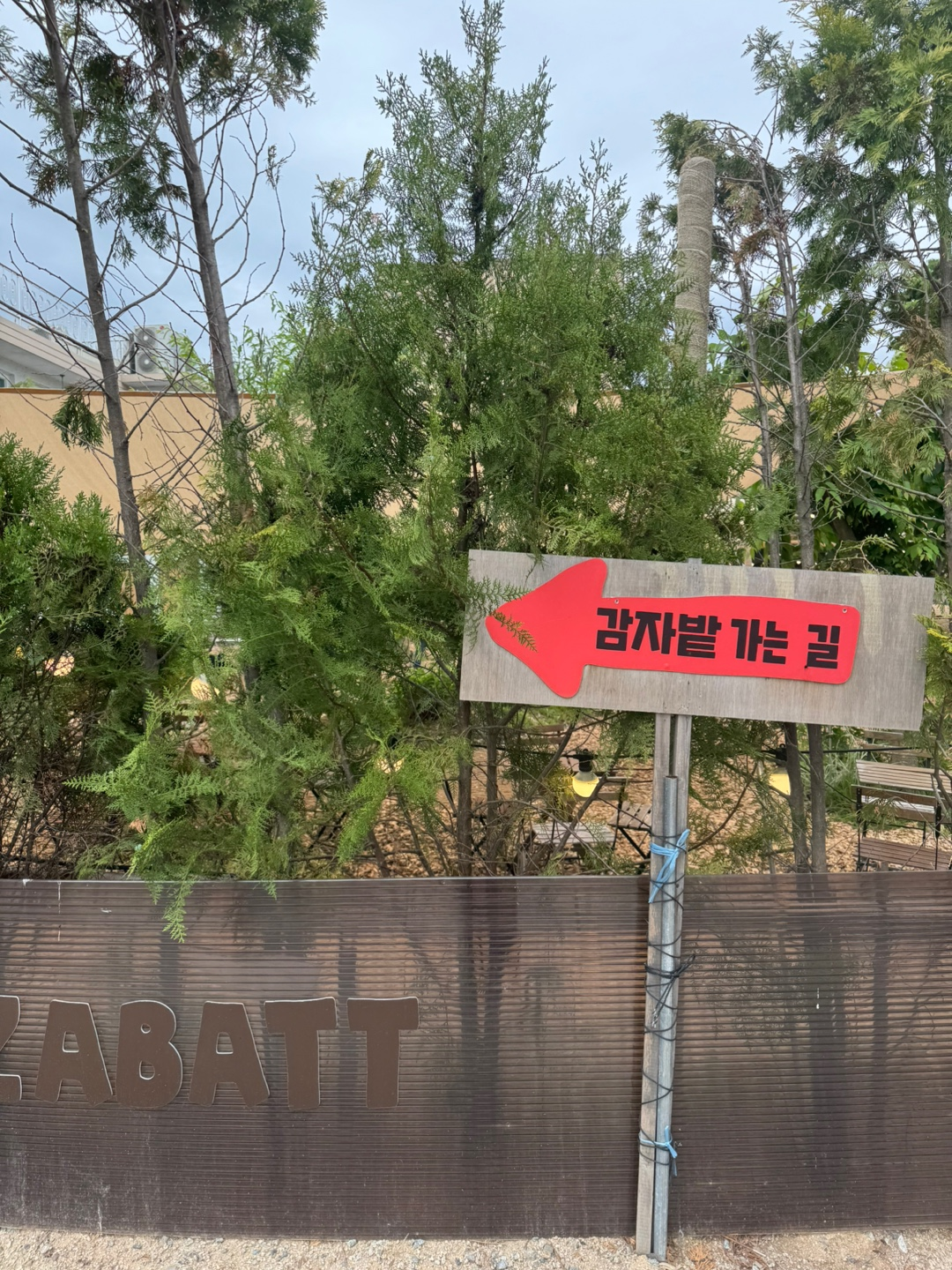 감자밭
