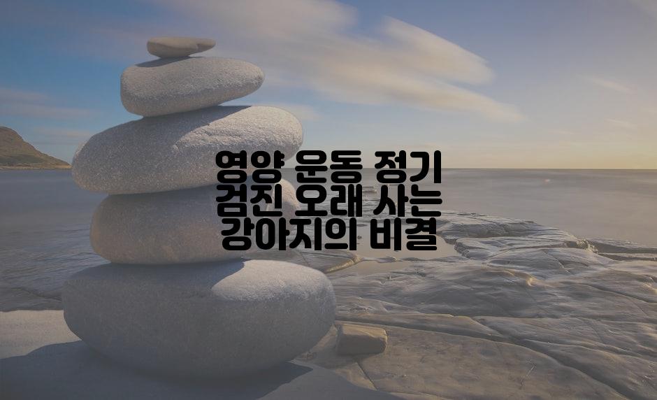 영양 운동 정기 검진 오래 사는 강아지의 비결