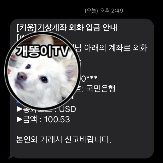  유튜브 티스토리 2개월 치 수익을 키움증권 예수금으로 충전 완료 | 신한은행 쏠 외화이체, 키움증권 가상계좌