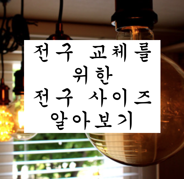  전구 교체 소켓 규격 사이즈