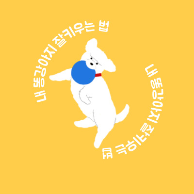  초보 집사들이 알아야 되는 강아지 잘키우는 법