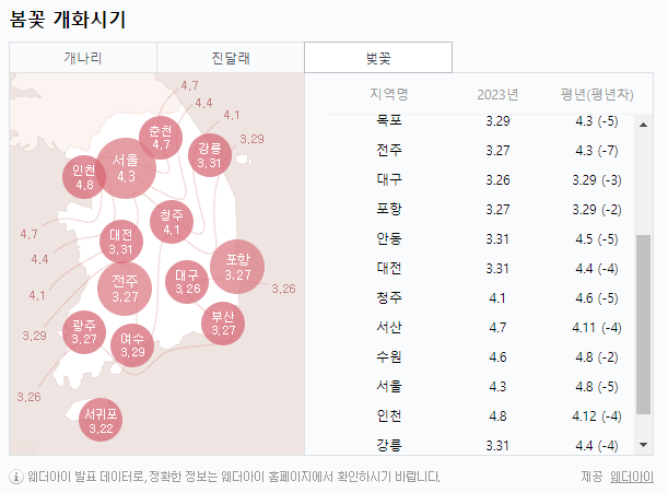 2023년 벚꽃 피고 지는 시기 알기 2