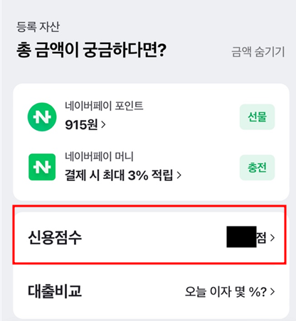 네이버페이 신용점수 확인방법 2
