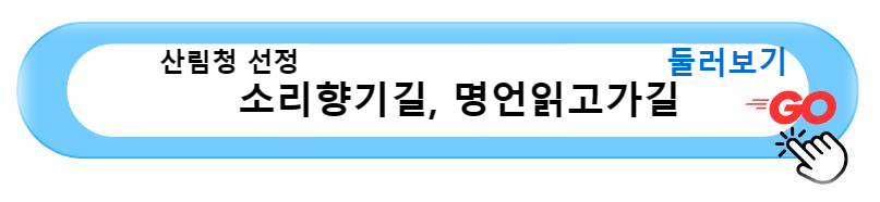 산림청 선정&#44; 걷기 좋은 네 가지 힐링 산책 숲길 여행 강씨봉자연휴양림 소리향기길 명언읽고가길