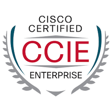 [솔데스크] CCIE SP 자격증 할인 프로모션(v5변경 후 ,국내 처음 합격자)