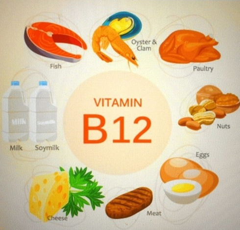 비타민 B12(vitamin B12)