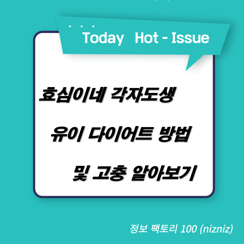  효심이네 각자도생 유이 다이어트 방법 및 고충
