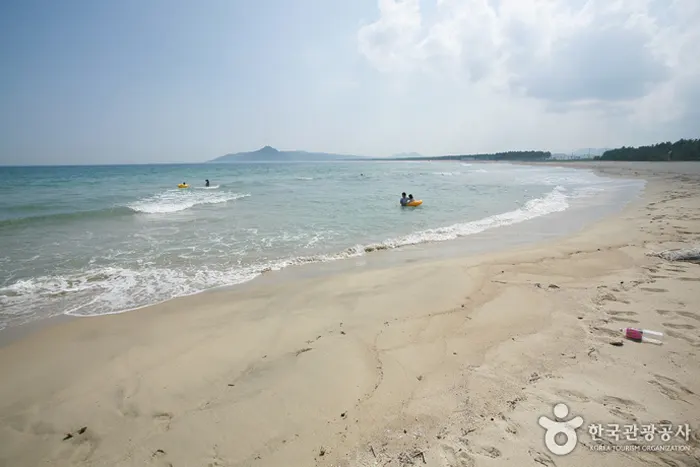 고래불 해수욕장 전경 이미지