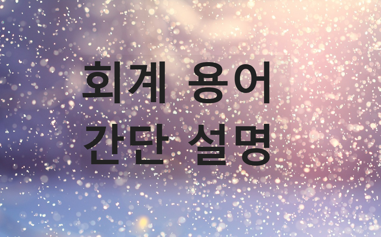  회계에서 쓰이는 단어 간단 설명.