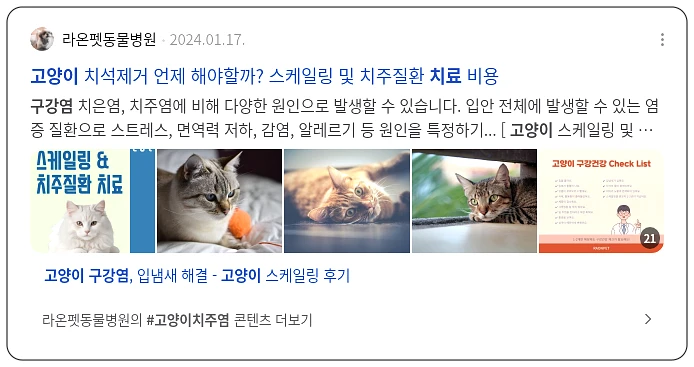고양이 구강염 치료_3_subsection
