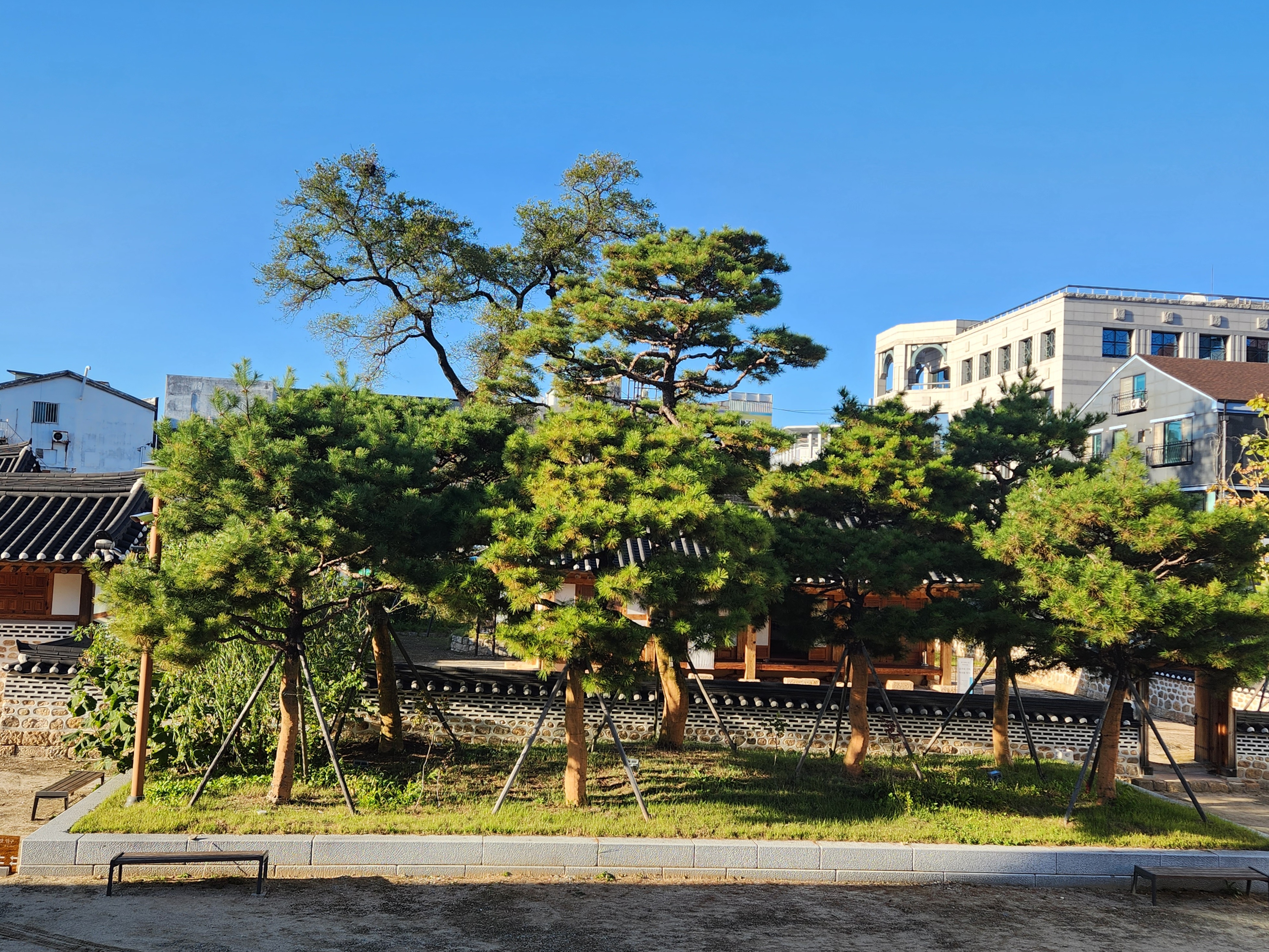 전라감영 전주 볼거리