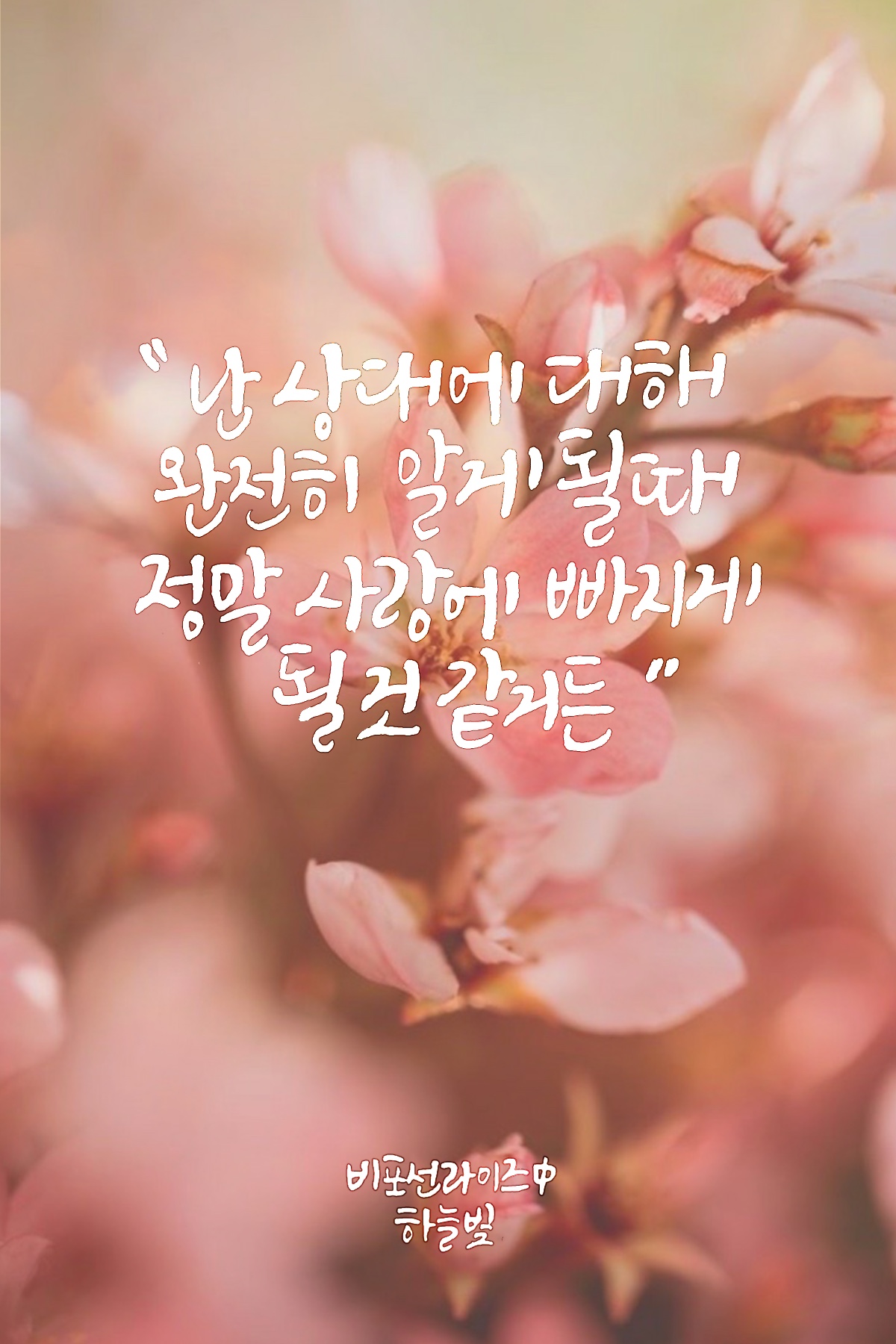  넷플릭스가 추천해 준 [비포선라이즈] 영화 속 ‘마이픽 명대사’