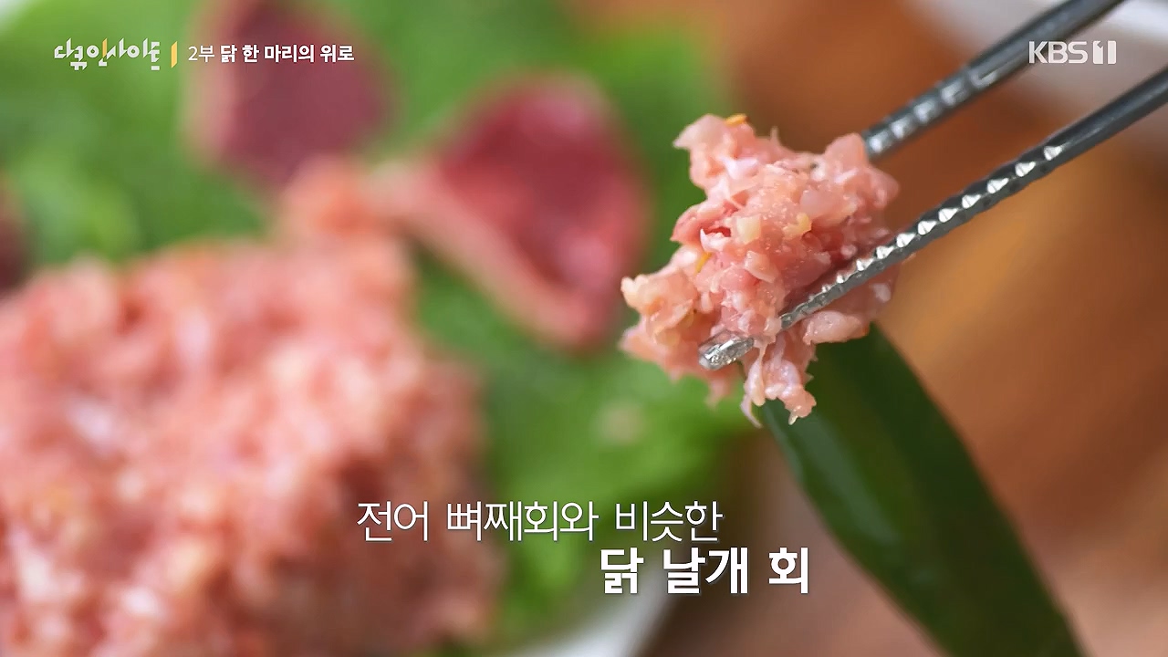 다큐 인사이트.E191.240532p-NEXT.mp4_20240601_163414.075.jpg