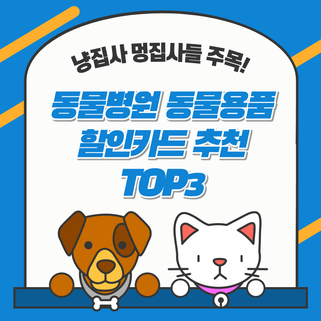 냥집사 멍집사들 주목! 동물병원 동물용품 할인카드 추천 TOP3