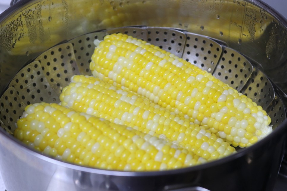 초당 옥수수 보관 냉동 냉장 2가지 방법 17