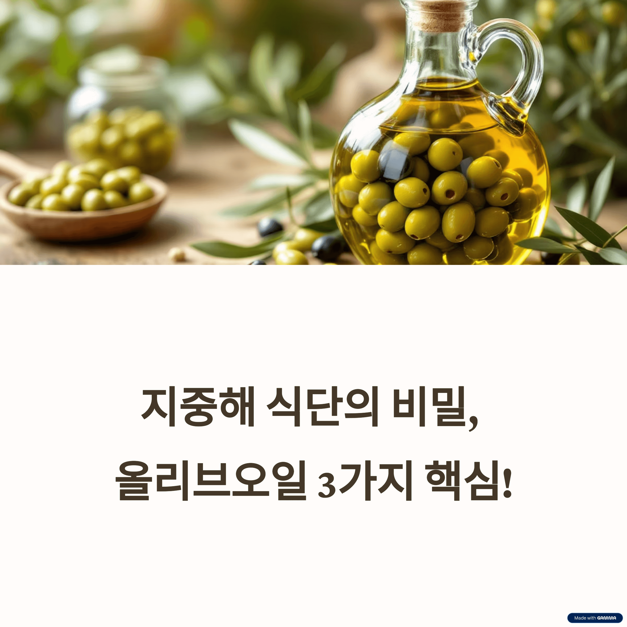 올리브오일 제대로 고르는 법: 엑스트라 버진, 산도, 폴리페놀 3가지 핵심 기준 완벽 분석