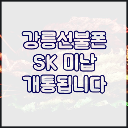  강릉선불폰 SK미납 개통됩니다