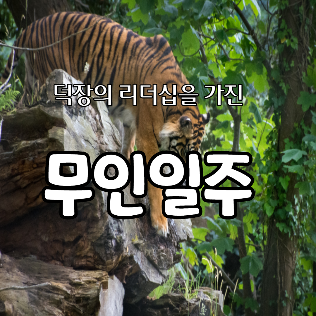  15.  덕장의 리더십을 가진, 무인일주