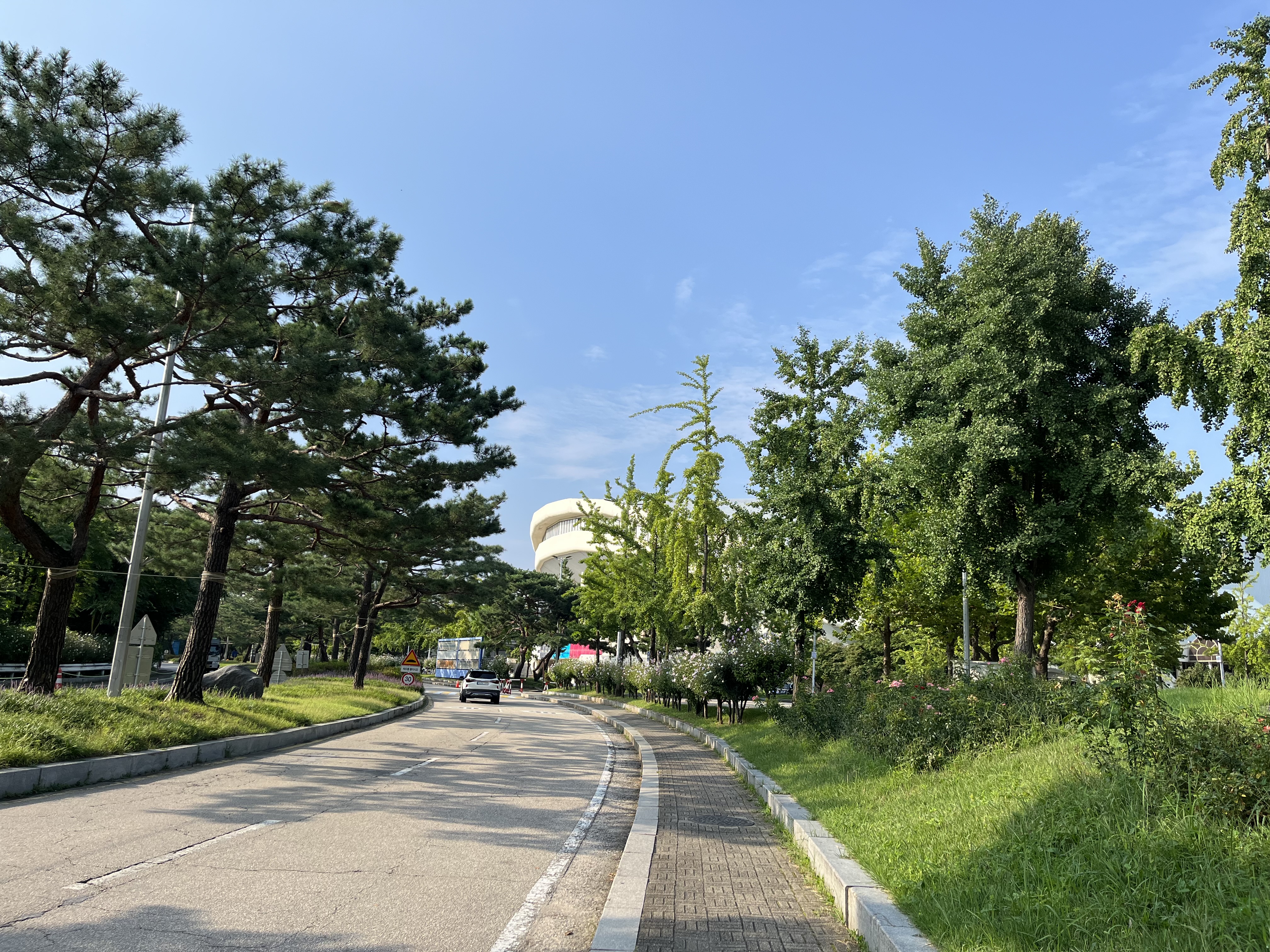 올림픽수영장