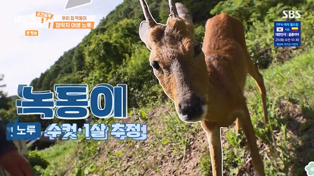 순간포착 세상에 이런일이.E1237.230716p-NEXT.mp4_20230716_174150.596.jpg