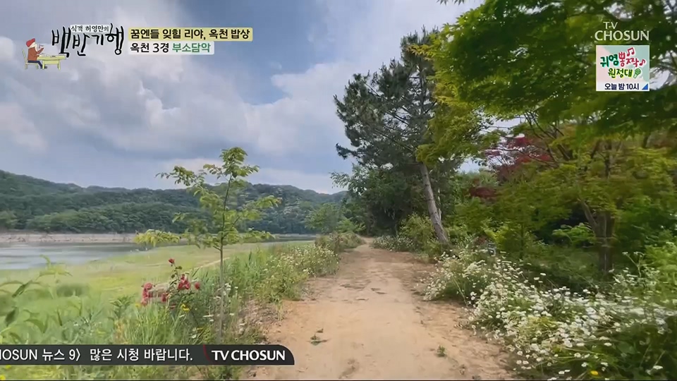 식객 허영만의 백반기행.E205.230630p.H264-F1RST.mp4_20230701_174959.010.jpg