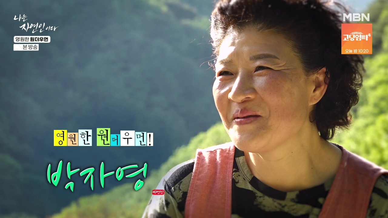 나는 자연인이다.E606.240523p-NEXT.mp4_20240523_192722.290.jpg