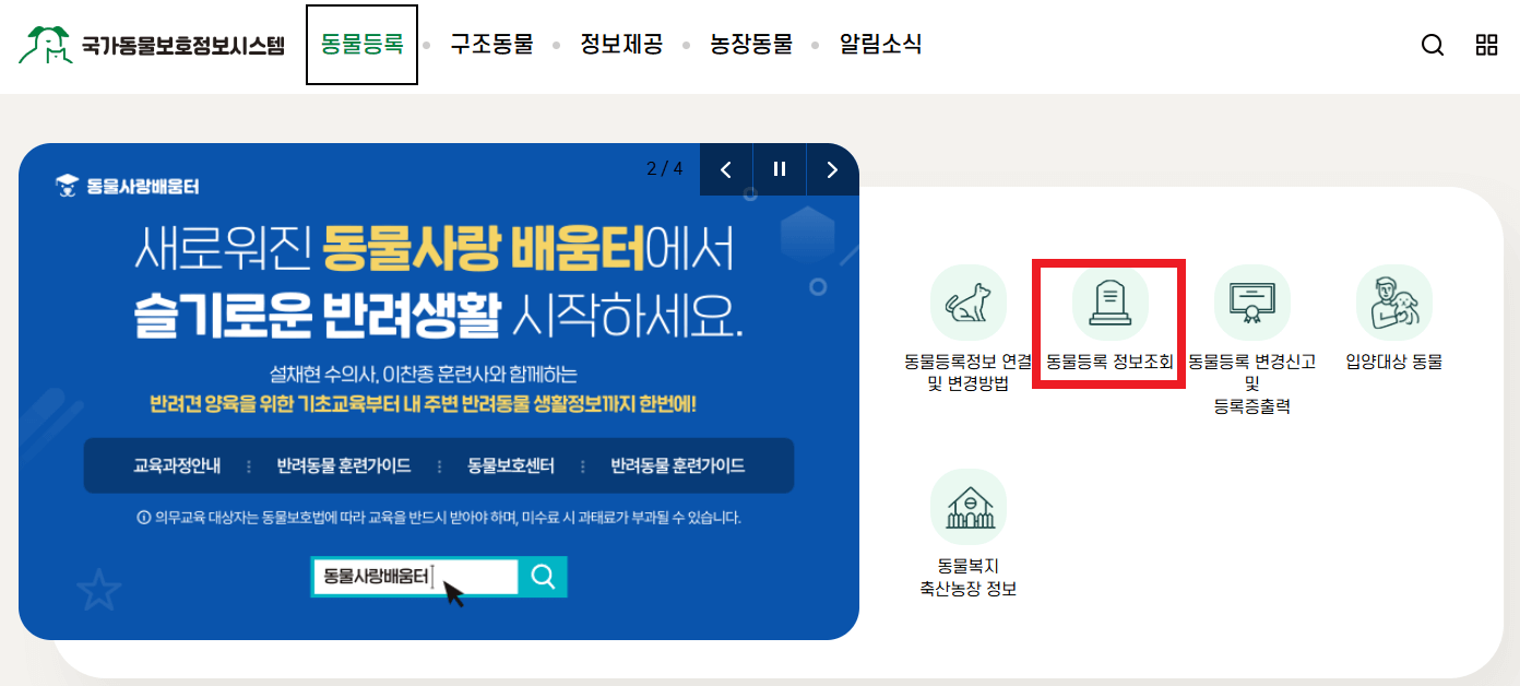 동물등록번호 조회