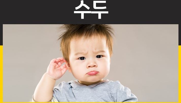  수두 (Varicella zoster virus)