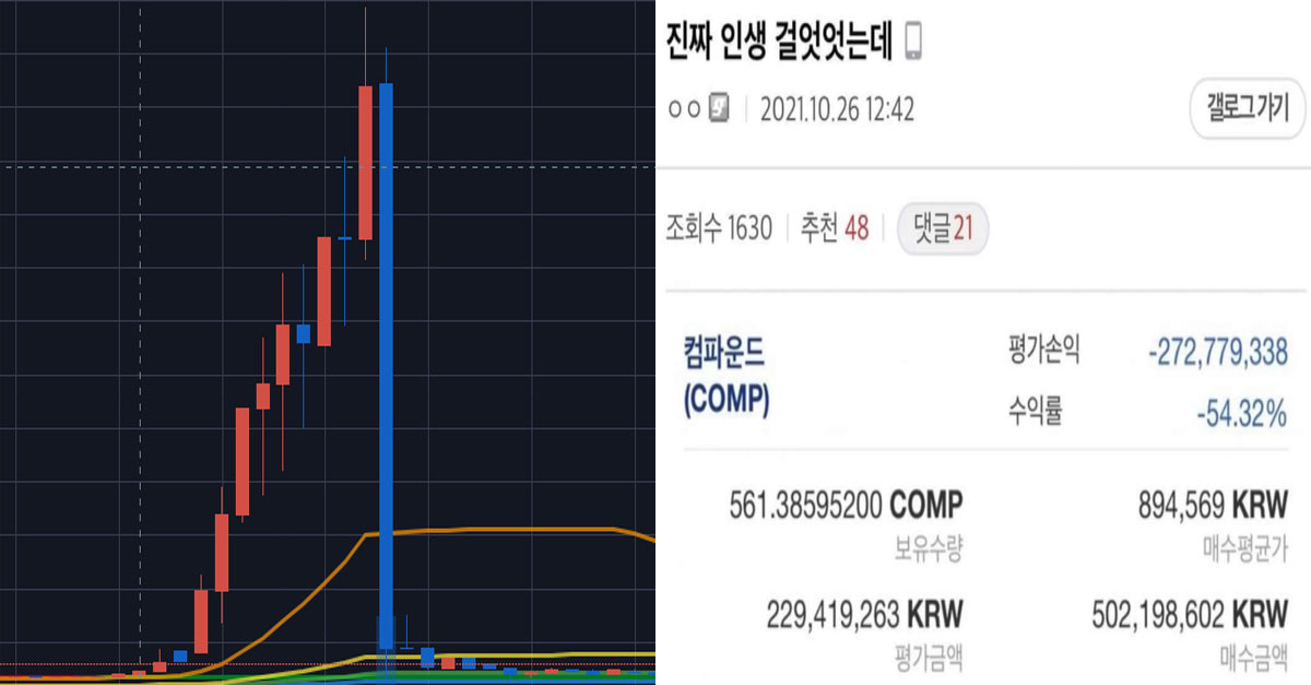  최근 업비트에서 일어난 200%빅쇼트 대참사(움짤있음)