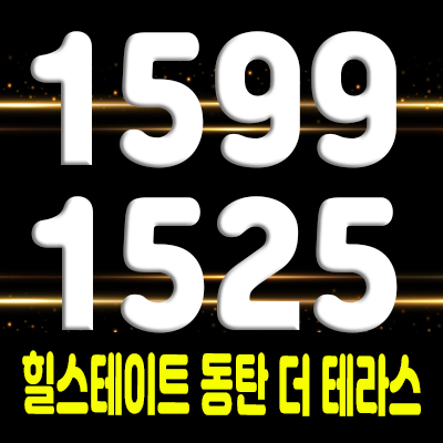  힐스테이트 동탄 더 테라스 민간임대아파트 공급 정보