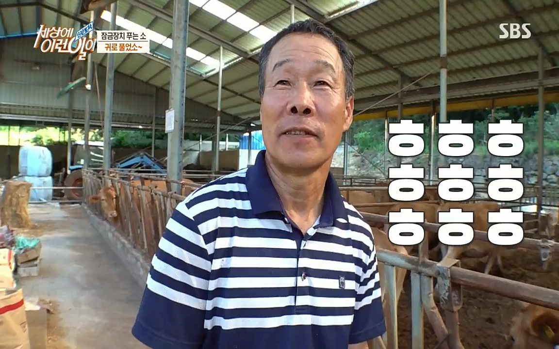 순간포착 세상에 이런일이.E1190.220727p-NICE.mp4_20220727_202104.393.jpg