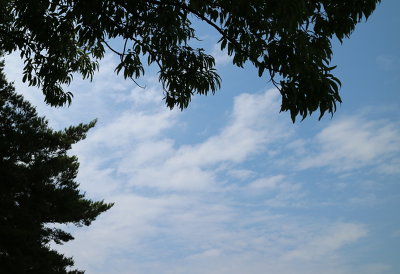  望雲之情