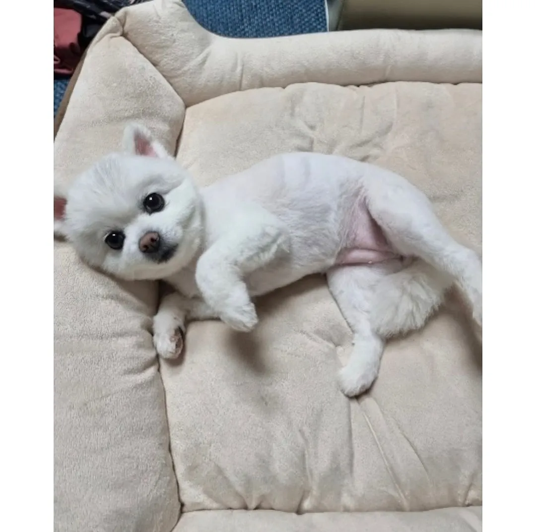 엄태구_인스타그램_이미지