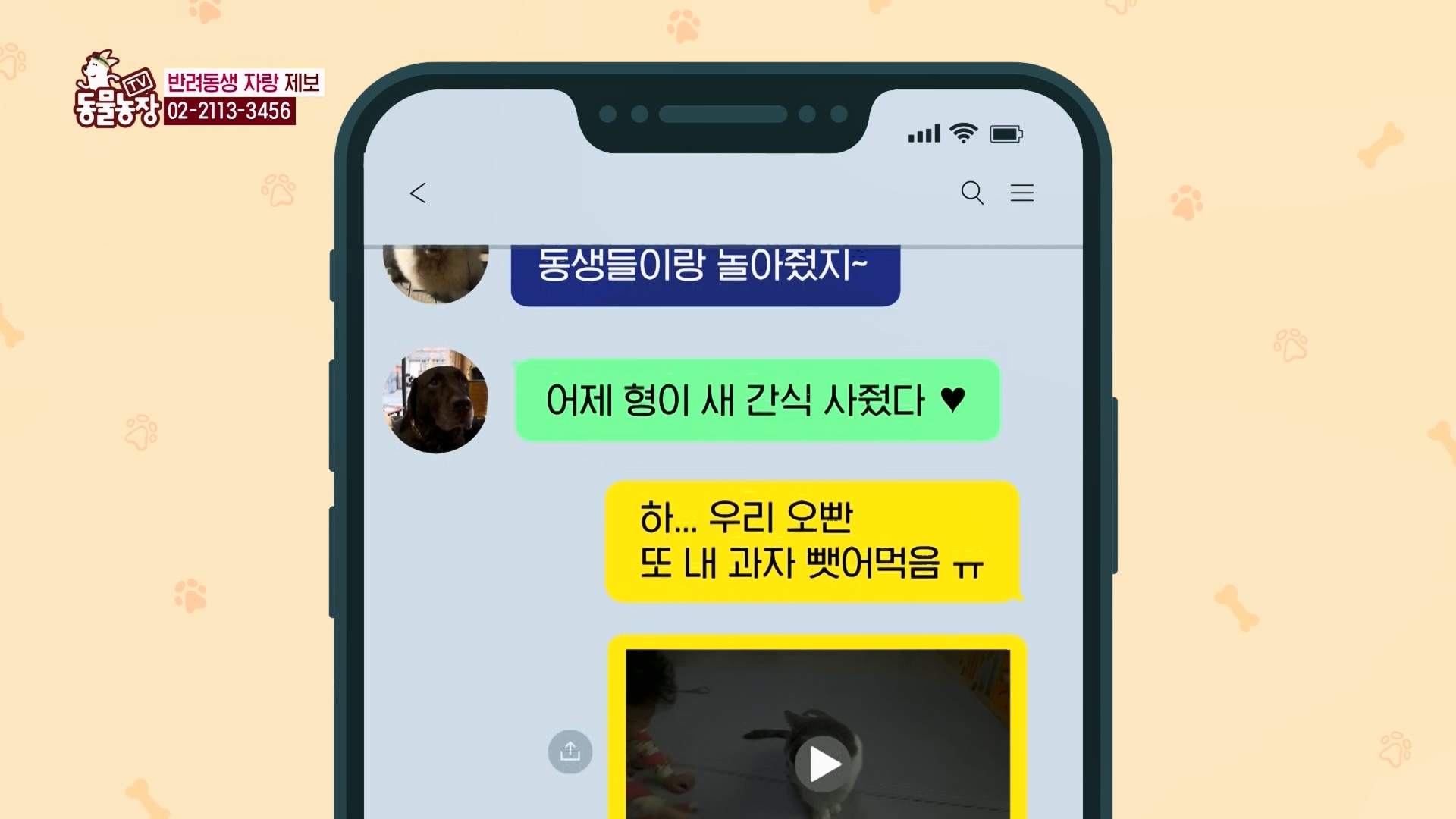 TV 동물농장.E1159.240218p.H264-F1RST.mp4_20240218_170014.733.jpg