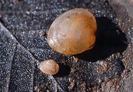 홍가네식당 이미지