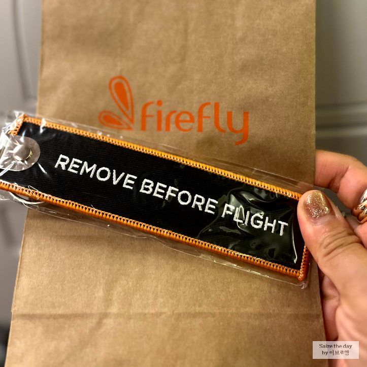 firefly keyholder