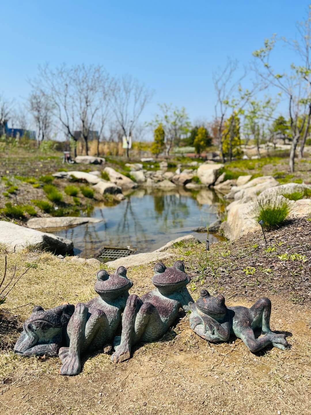 개구리연못