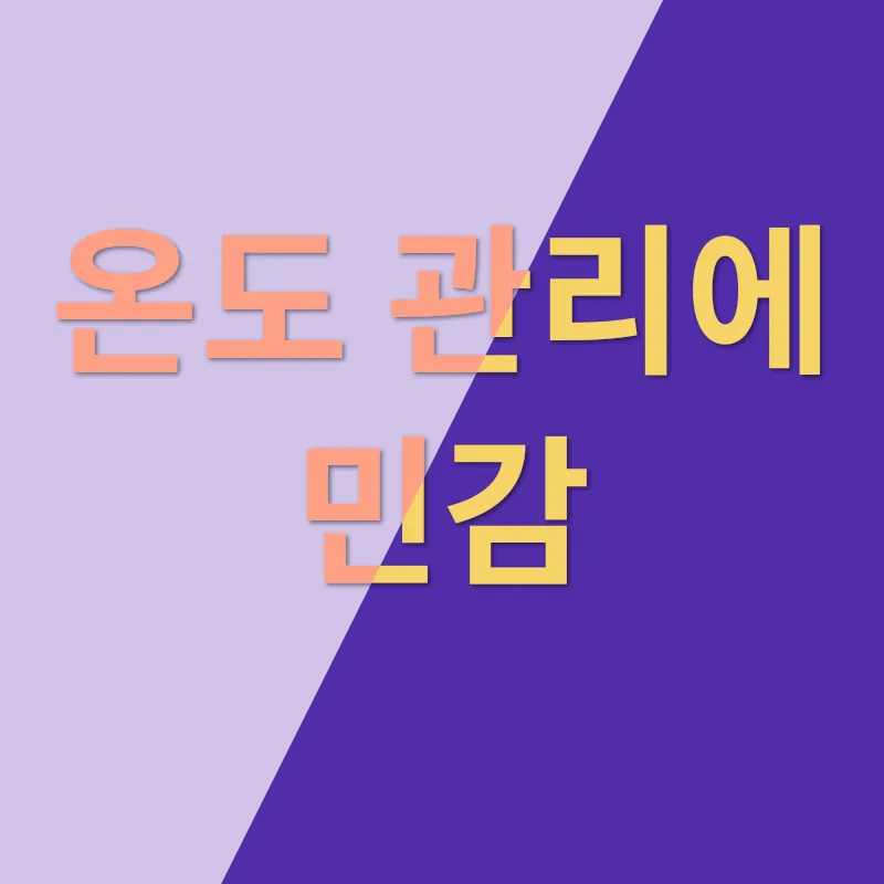 스핑크스 고양이 키우기_2