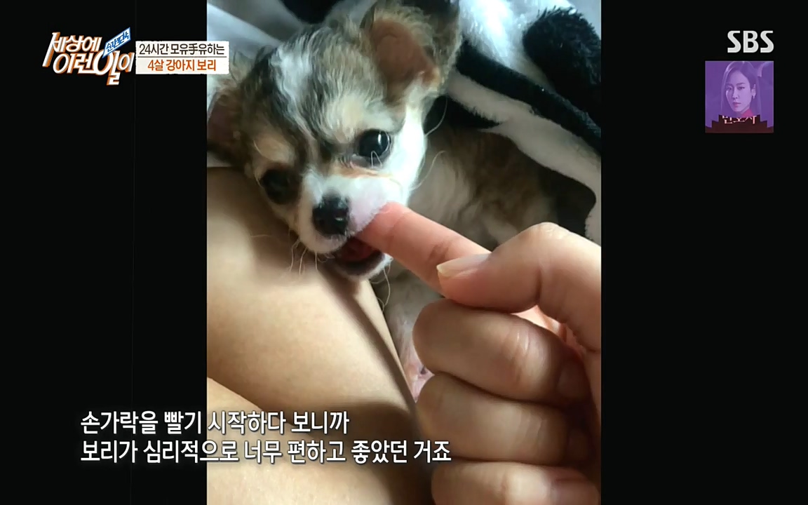 순간포착 세상에 이런일이.E1183.220608p-NEXT.mp4_20220608_201634.869.jpg